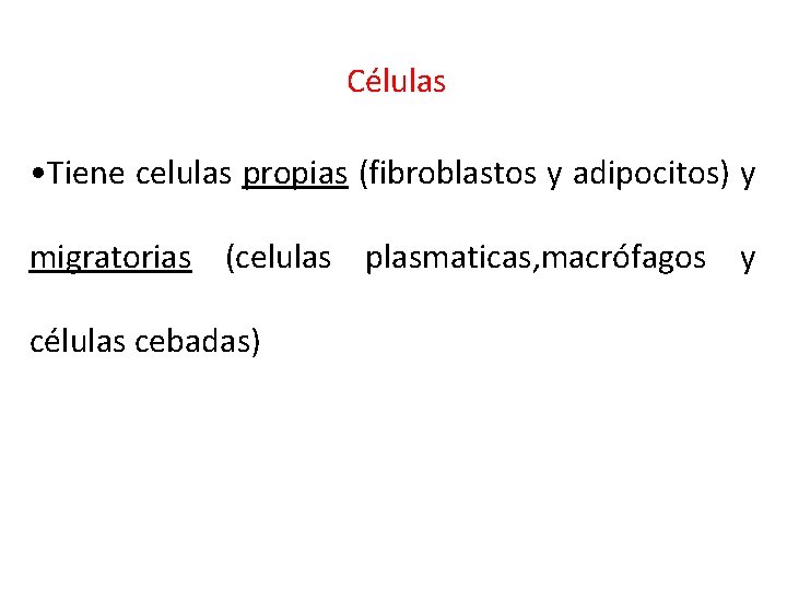 Células • Tiene celulas propias (fibroblastos y adipocitos) y migratorias (celulas plasmaticas, macrófagos y