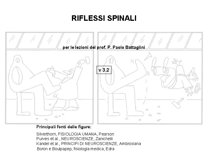 RIFLESSI SPINALI per le lezioni del prof. P. Paolo Battaglini v 3. 2 Principali