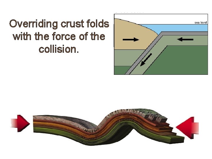 Overriding crust folds with the force of the collision. 