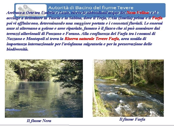 Arrivato a Orte tra Umbria e Lazio, riceve le abbondanti acque del Nera-Velino, e