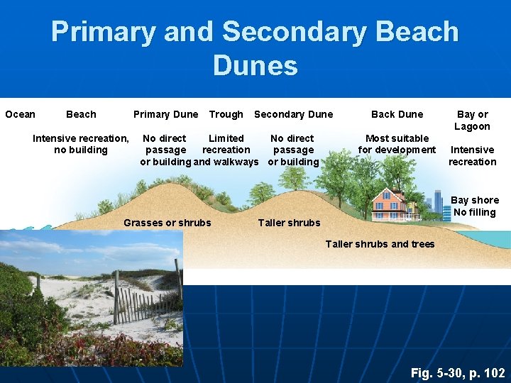 Primary and Secondary Beach Dunes Ocean Beach Primary Dune Intensive recreation, no building Trough