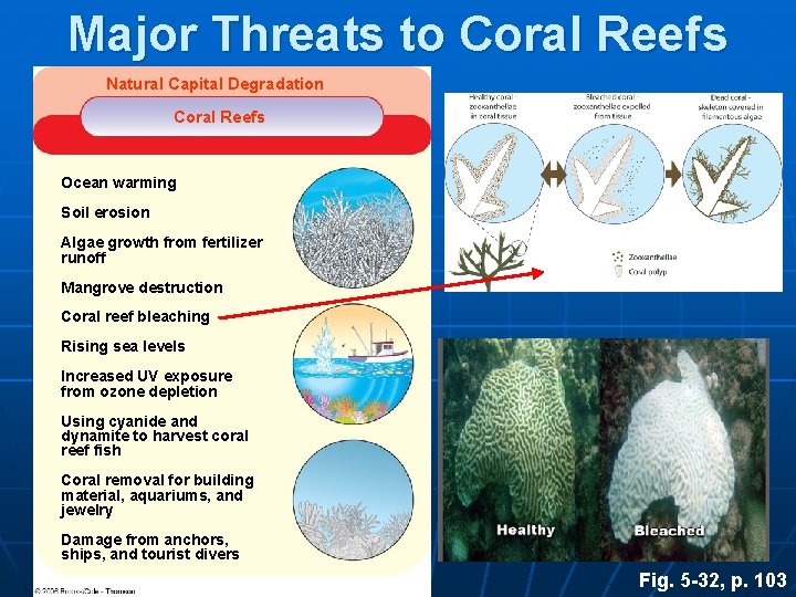 Major Threats to Coral Reefs Natural Capital Degradation Coral Reefs Ocean warming Soil erosion