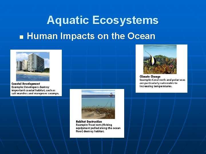 Aquatic Ecosystems n Human Impacts on the Ocean 
