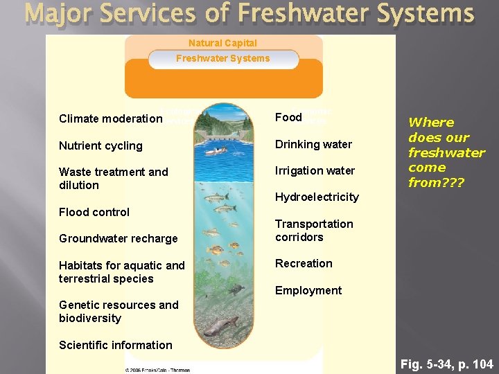 Major Services of Freshwater Systems Natural Capital Freshwater Systems Ecological Economic Climate moderation. Services