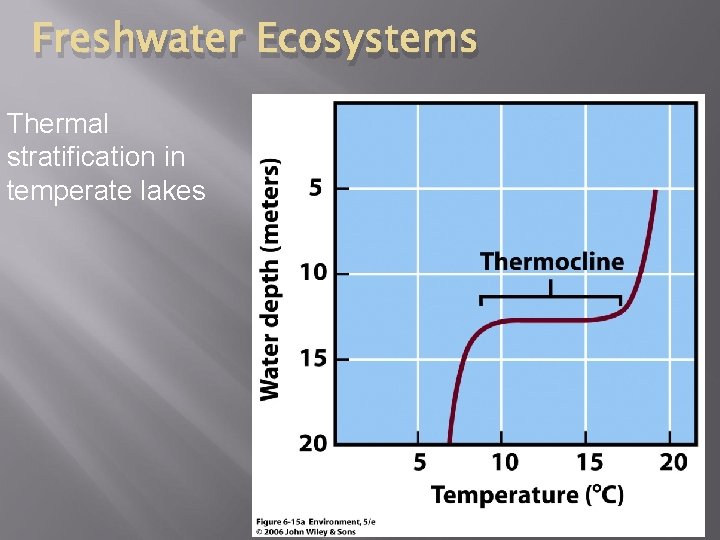 Freshwater Ecosystems Thermal stratification in temperate lakes 