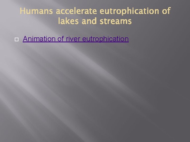  Animation of river eutrophication 