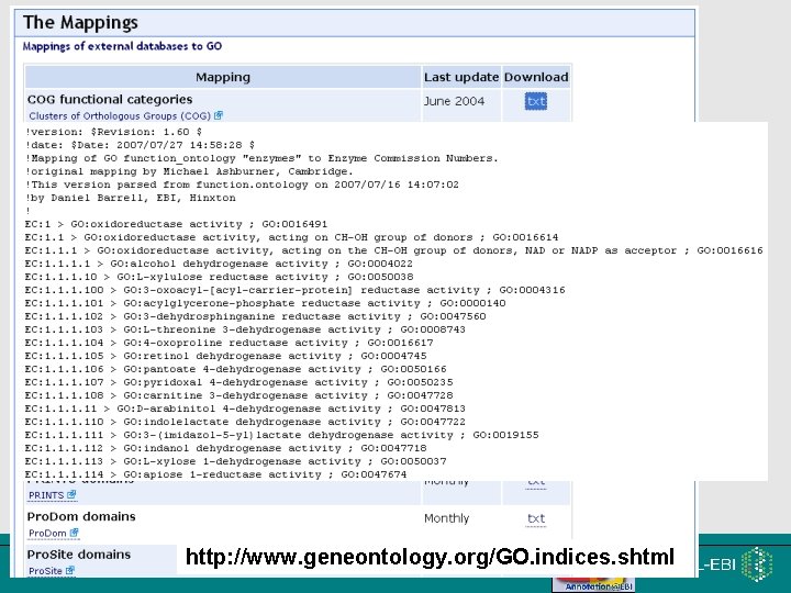 12 http: //www. geneontology. org/GO. indices. shtml EMBRACE Workshop 7 -9 th November 2007