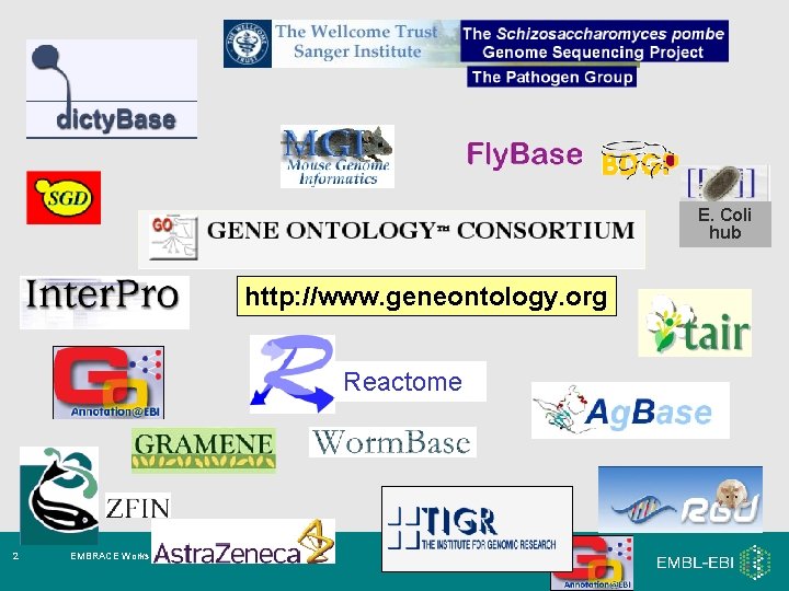 E. Coli hub http: //www. geneontology. org Reactome 2 EMBRACE Workshop 7 -9 th