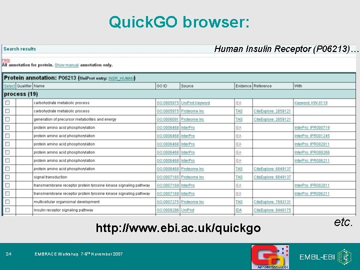 Quick. GO browser: Human Insulin Receptor (P 06213)… http: //www. ebi. ac. uk/quickgo 24