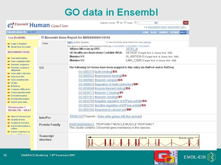 GO data in Ensembl 25 EMBRACE Workshop 7 -9 th November 2007 