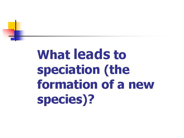 What leads to speciation (the formation of a new species)? 