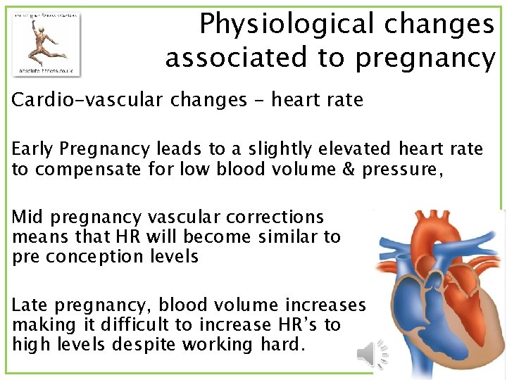 Physiological changes associated to pregnancy Cardio-vascular changes – heart rate Early Pregnancy leads to