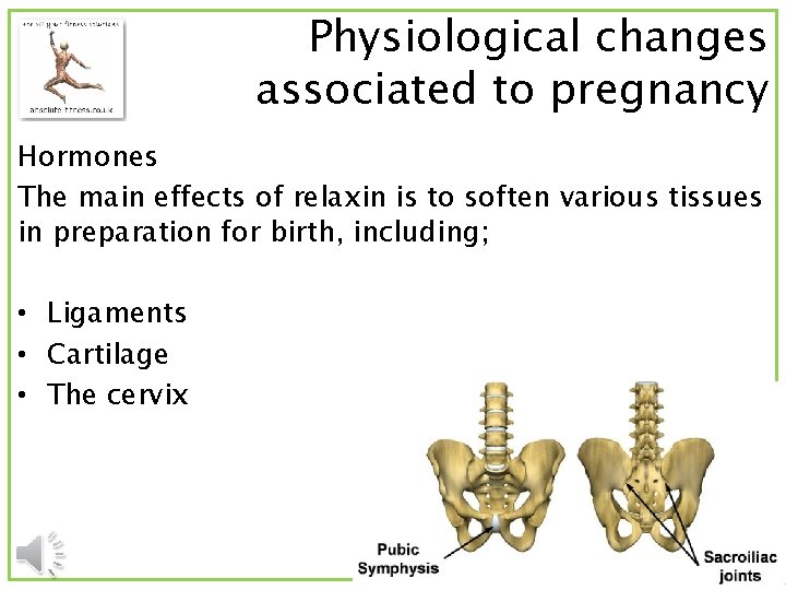 Physiological changes associated to pregnancy Hormones The main effects of relaxin is to soften