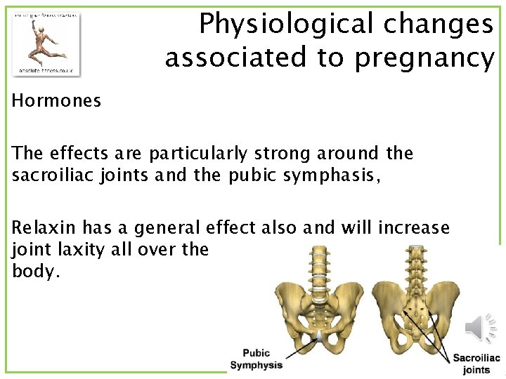 Physiological changes associated to pregnancy Hormones The effects are particularly strong around the sacroiliac