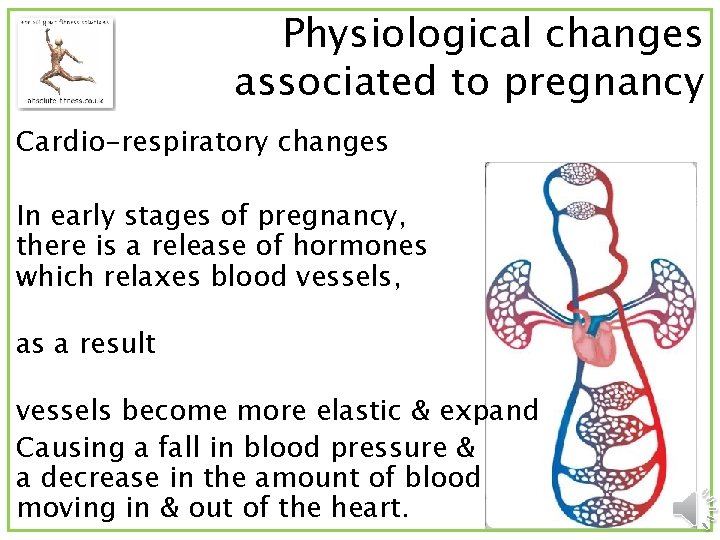 Physiological changes associated to pregnancy Cardio-respiratory changes In early stages of pregnancy, there is