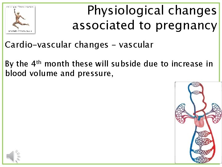 Physiological changes associated to pregnancy Cardio-vascular changes - vascular By the 4 th month