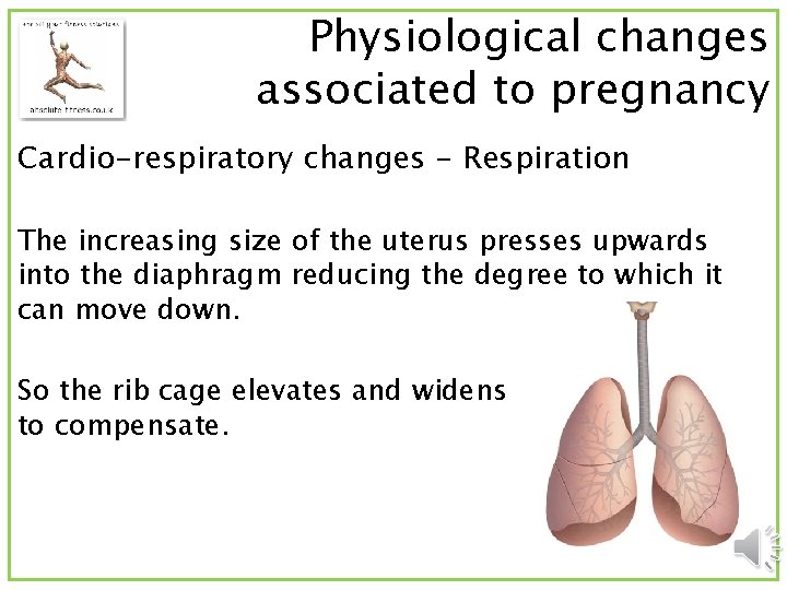 Physiological changes associated to pregnancy Cardio-respiratory changes - Respiration The increasing size of the