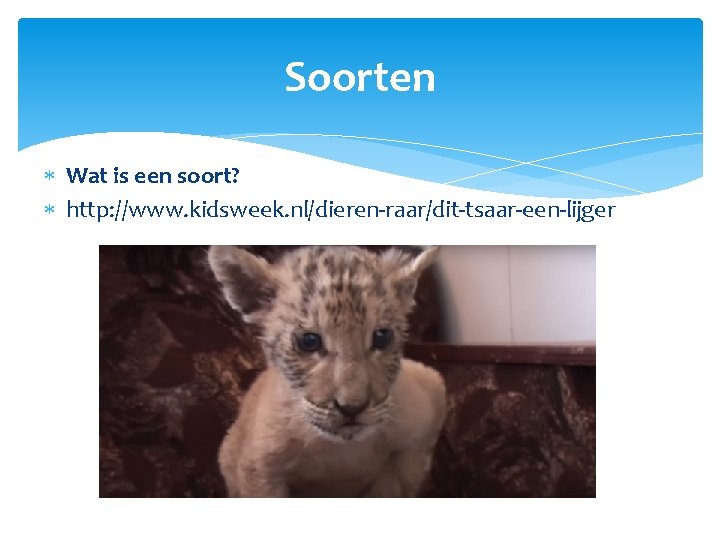 Soorten Wat is een soort? http: //www. kidsweek. nl/dieren-raar/dit-tsaar-een-lijger 