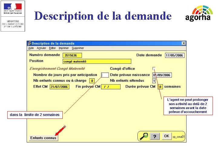 Description de la demande L’agent ne peut prolonger son activité au delà de 2