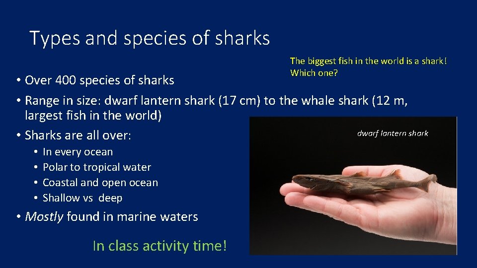 Types and species of sharks The biggest fish in the world is a shark!