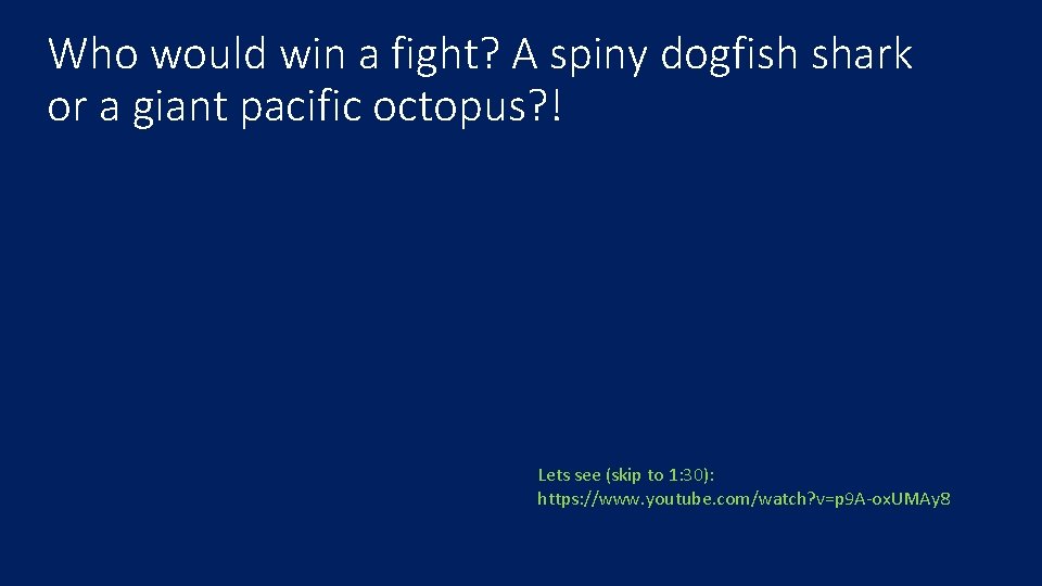Who would win a fight? A spiny dogfish shark or a giant pacific octopus?