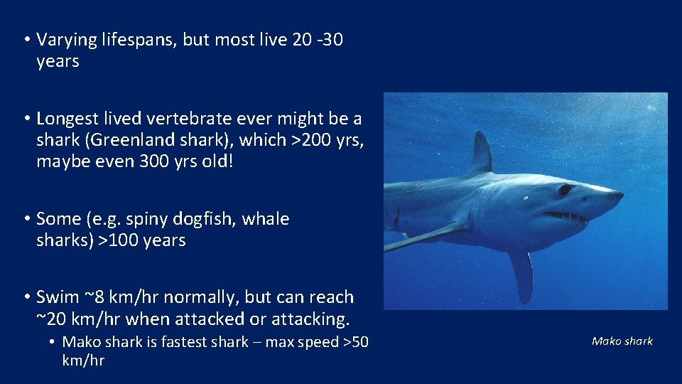 • Varying lifespans, but most live 20 -30 years • Longest lived vertebrate