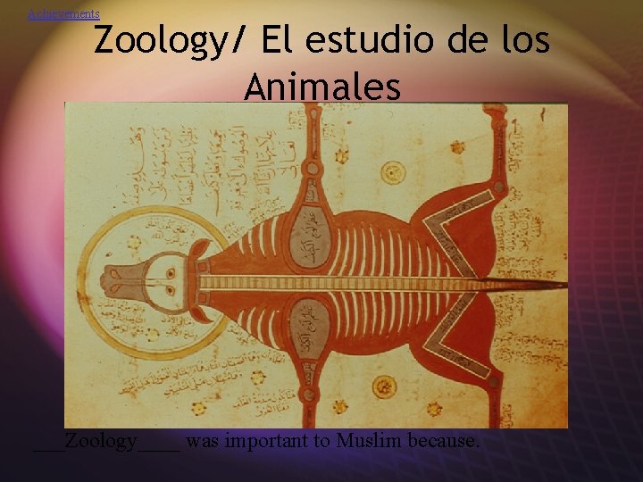 Achievements Zoology/ El estudio de los Animales ___Zoology____ was important to Muslim because. 