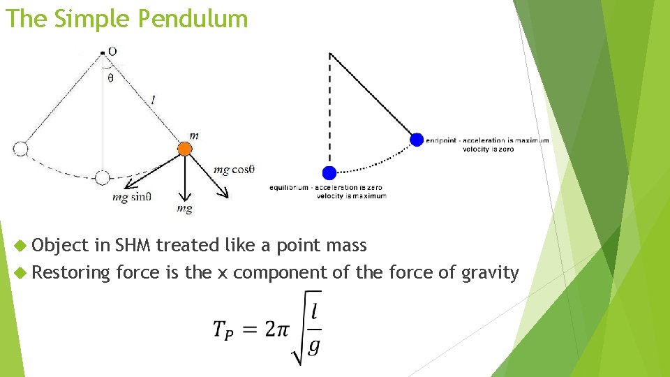 The Simple Pendulum Object in SHM treated like a point mass Restoring force is