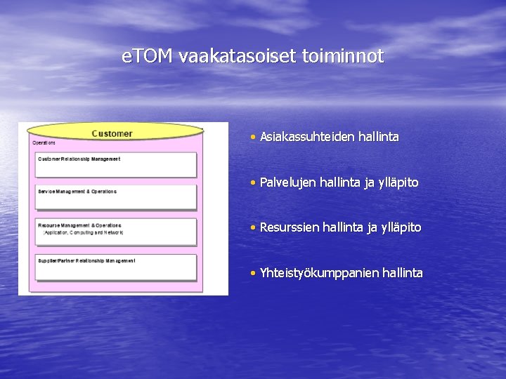 e. TOM vaakatasoiset toiminnot • Asiakassuhteiden hallinta • Palvelujen hallinta ja ylläpito • Resurssien