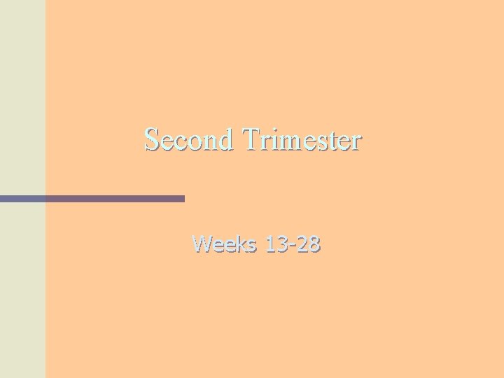 Second Trimester Weeks 13 -28 