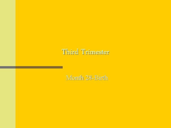 Third Trimester Month 28 -Birth 