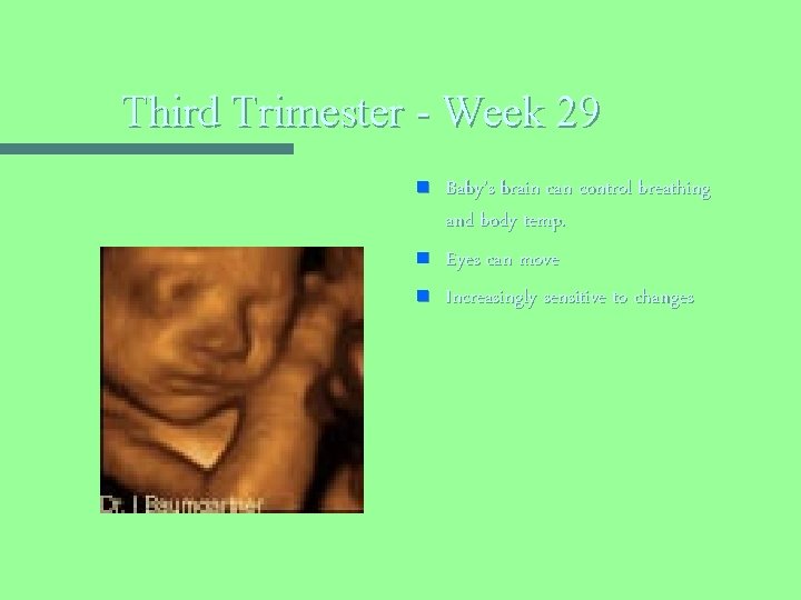 Third Trimester - Week 29 n n n Baby’s brain can control breathing and