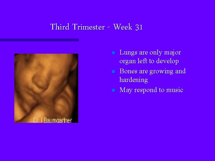 Third Trimester - Week 31 n n n Lungs are only major organ left