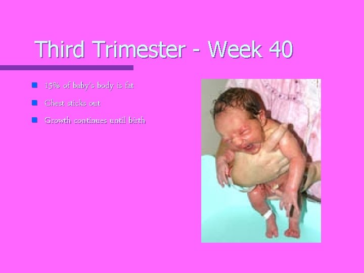 Third Trimester - Week 40 n n n 15% of baby’s body is fat