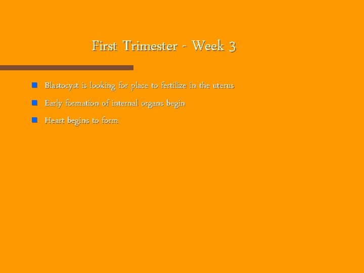 First Trimester - Week 3 n n n Blastocyst is looking for place to