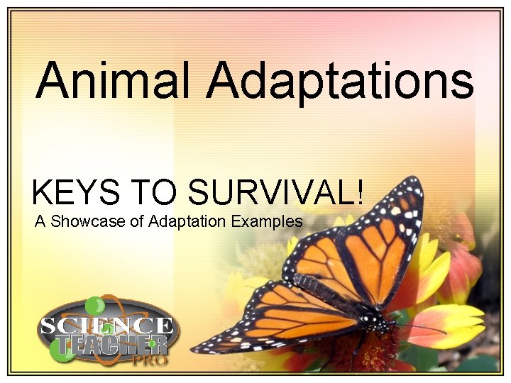 Animal Adaptations KEYS TO SURVIVAL A Showcase of