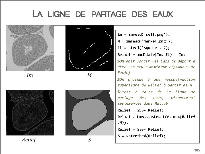 LA LIGNE DE PARTAGE DES EAUX Im = imread('cell. png'); M = imread('marker. png');