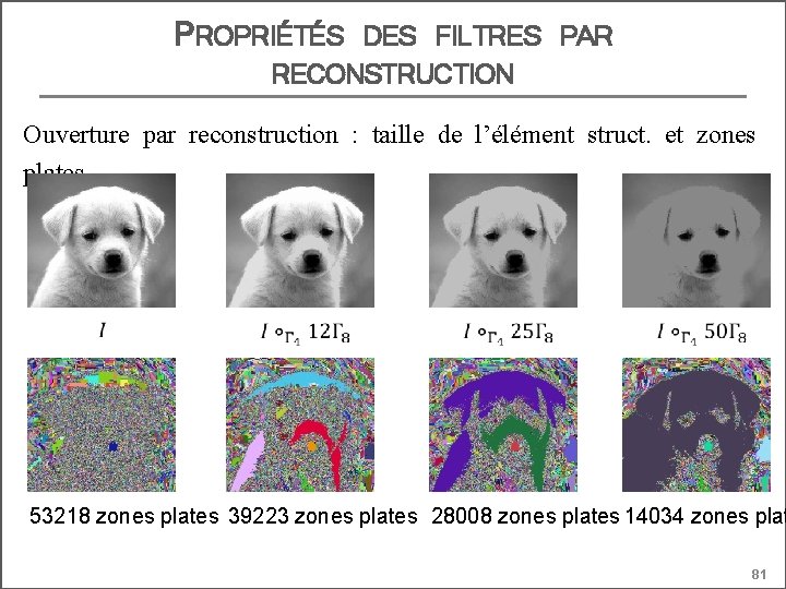 PROPRIÉTÉS DES FILTRES PAR RECONSTRUCTION Ouverture par reconstruction : taille de l’élément struct. et