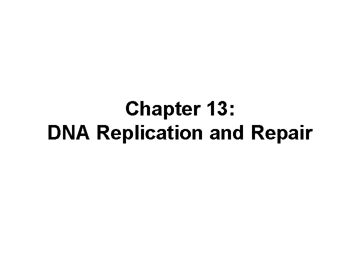 Chapter 13: DNA Replication and Repair 