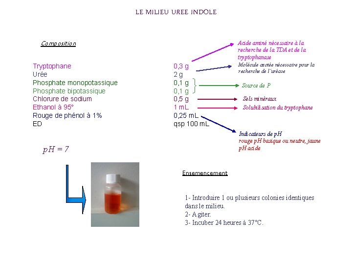 LE MILIEU UREE INDOLE Acide aminé nécessaire à la recherche de la TDA et