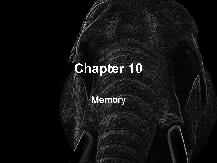 Chapter 10 Memory 