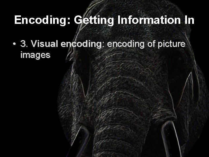 Encoding: Getting Information In • 3. Visual encoding: encoding of picture images 