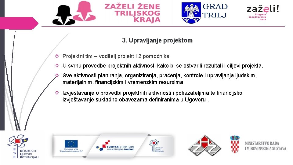 3. Upravljanje projektom Projektni tim – voditelj projekt i 2 pomoćnika U svrhu provedbe