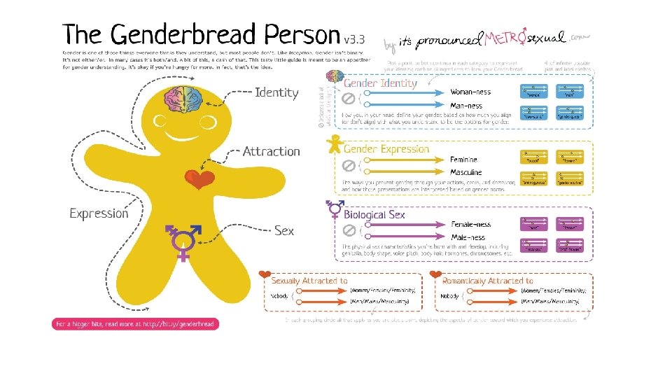 Gender Identity Development Model Physical Development Why do I need to know