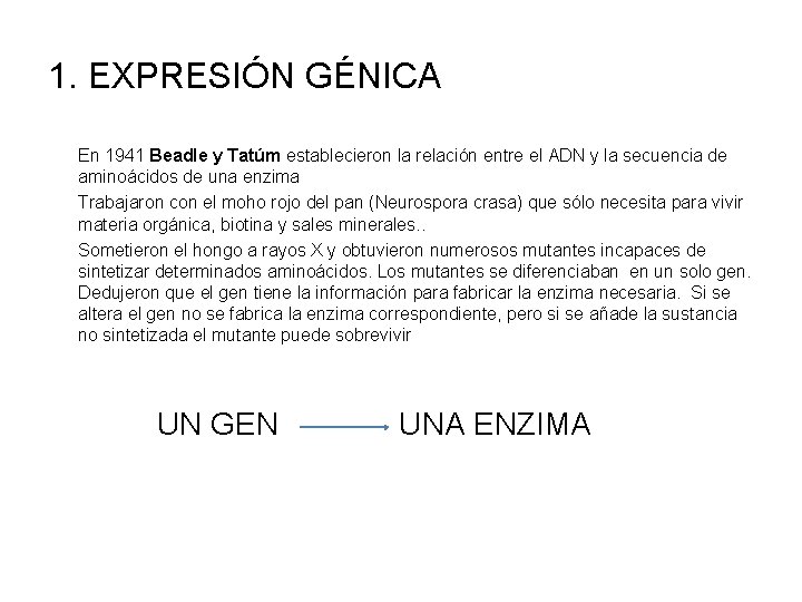 1. EXPRESIÓN GÉNICA En 1941 Beadle y Tatúm establecieron la relación entre el ADN