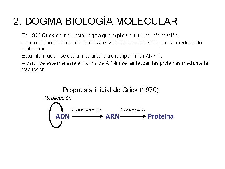 2. DOGMA BIOLOGÍA MOLECULAR En 1970 Crick enunció este dogma que explica el flujo