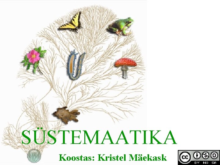 SÜSTEMAATIKA Koostas: Kristel Mäekask 