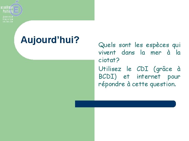 Aujourd’hui? Quels sont les espèces qui vivent dans la mer à la ciotat? Utilisez