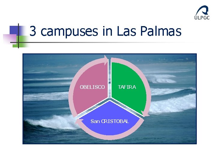 3 campuses in Las Palmas OBELISCO TAFIRA San CRISTOBAL 3 campuses in Las Palmas OBELISCO TAFIRA San CRISTOBAL