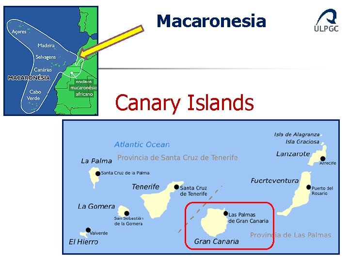 Macaronesia Canary Islands Macaronesia Canary Islands